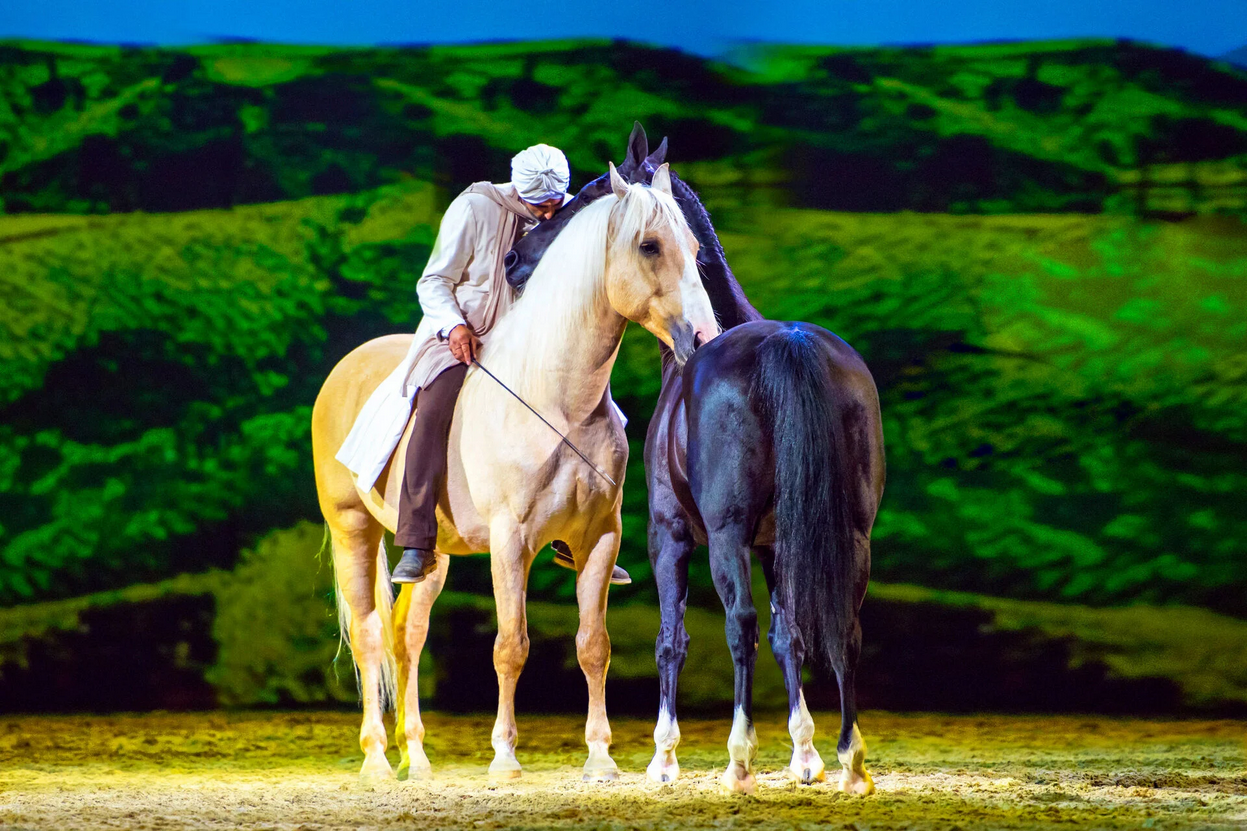CAVALLUNA_2027_Verbindung_zwischen_Mensch_und_Pferd_063d1a5409