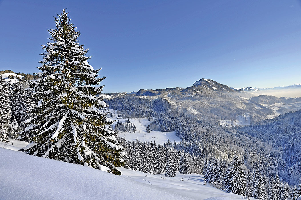 Oberaudorf_001_621898-538165-V1-P0