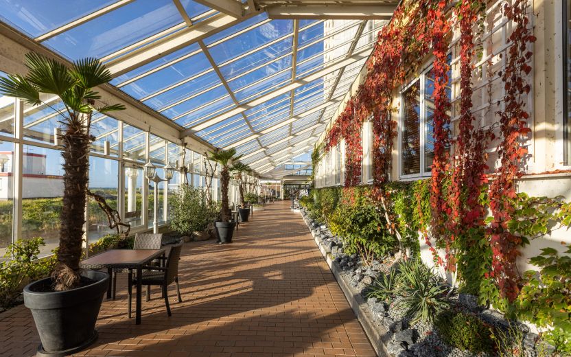 IFA_72e26390af4c528b1ad74e999493b2e9