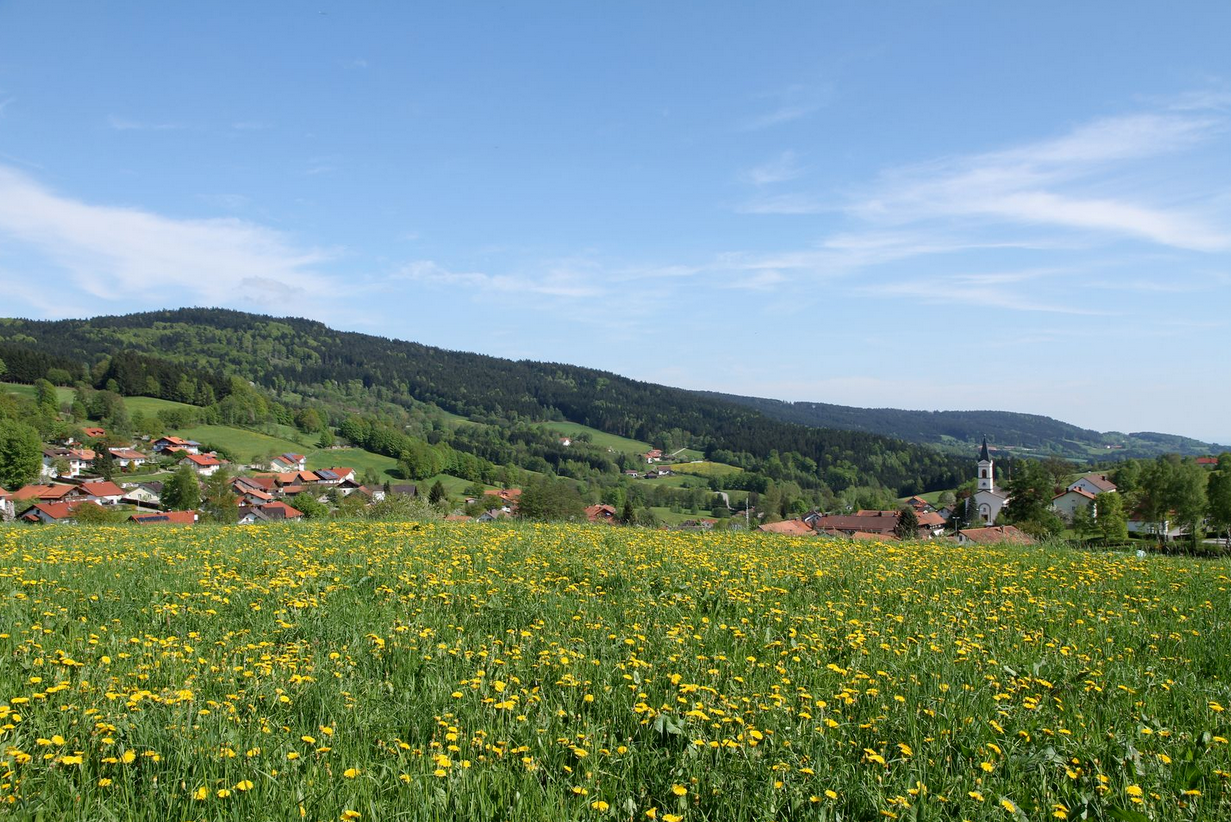 Elisabethszell_Hotel_Singender_Wirt_001_C_www