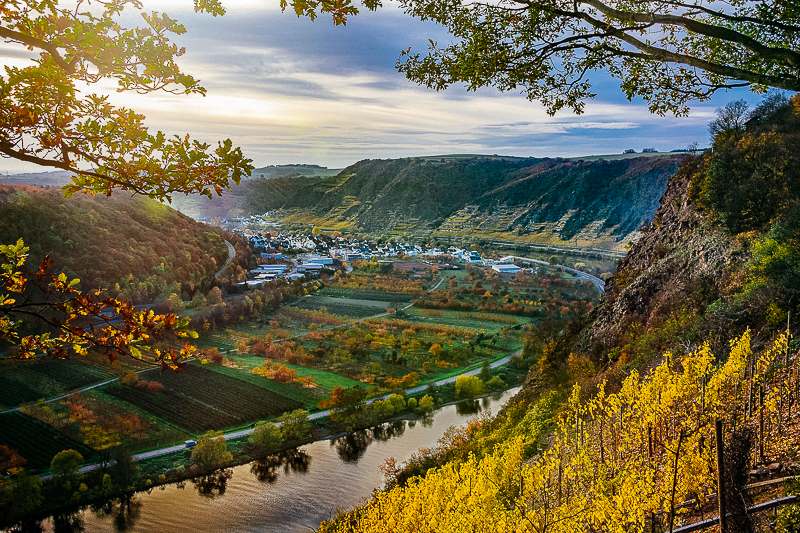 Moseltal-Blick-auf-Dieblich-