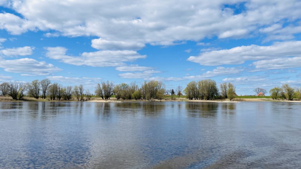 Elbe-2025-c-Bergedorfer-Schifffahrtslinie-2-1-1024x576