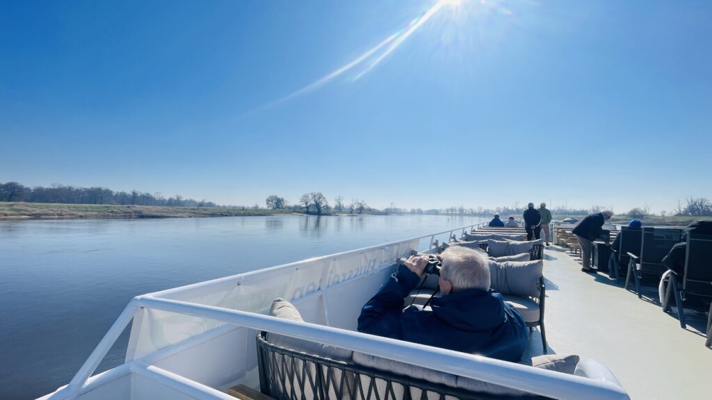 Elbe-2025-c-Bergedorfer-Schifffahrtslinie-4-1-1024x576
